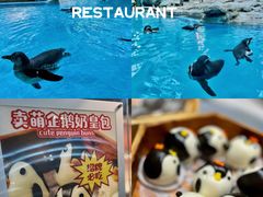 -帝企鹅自助餐厅•儿童岛•真企鹅(长隆企鹅酒店)