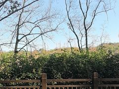 -潜山国家森林公园