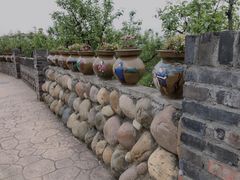 -空港花田景区