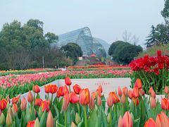 -南山植物园