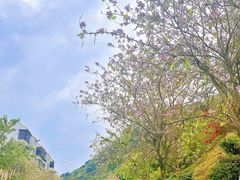 -小南山公园