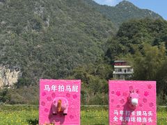 -靖西鹅泉风景区