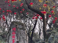 -绵阳人民公园(涪城区)