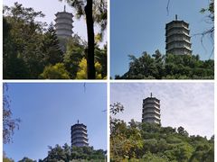 -深圳国际园林花卉博览园