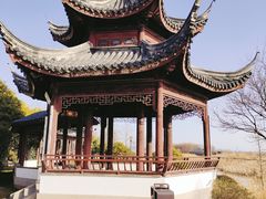 -苏州太湖湖滨国家湿地公园