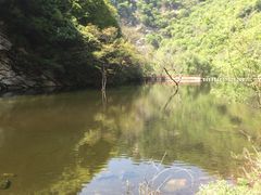 -少华山国家森林公园