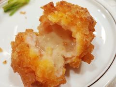 -丁老爷子苏香圆