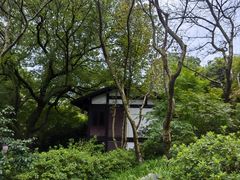 -中国茶叶博物馆(双峰馆区)