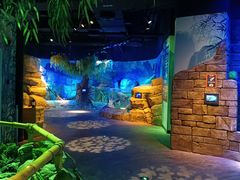 -沈阳海洋探索中心