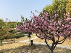 -江南大学(蠡湖校区)