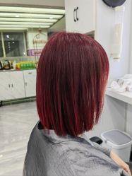 -镁连社·美联社