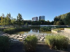 -大望京公园