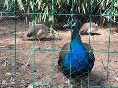 -南山风景名胜区