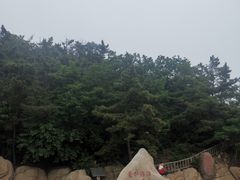 -棒棰岛宾馆景区