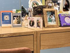 -海马体照相馆(成都来福士广场店)