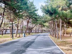 -北陵公园