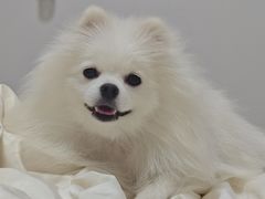 -联合动物医院(光谷诊疗中心)