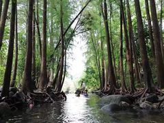 -马峦山郊野公园