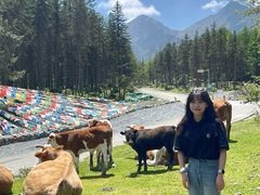 -硗碛藏寨·神木垒景区