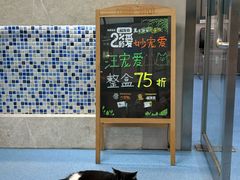 -万博宠物医院·手术·诊疗(未央凤城五路店)