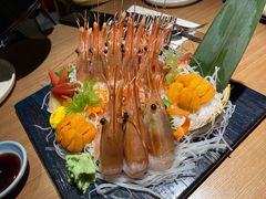 牡丹虾-初花·日本料理