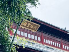 -树山生态村