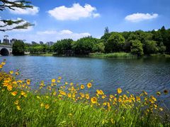-尚贤河湿地