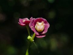 -维乐口腔医院(星海湾分院)