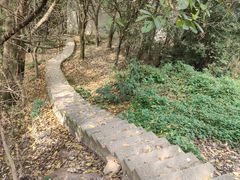 -南山植物园