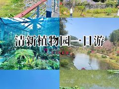 -东莞植物园