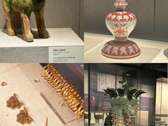 -河南博物院