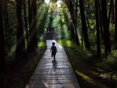 -同里国家湿地公园