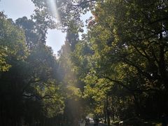 -浙江大学(玉泉校区)