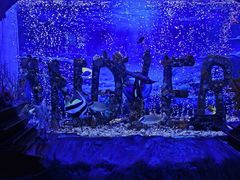 -太平洋海底世界