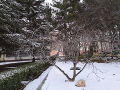 -山东大学(威海校区)