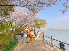 -无锡蠡湖国家湿地公园-蠡园