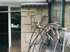 -北京市海淀外国语实验学校