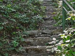 -燕窝岭