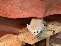 -Zoolung Zoolung动物主题公园(海信广场店)