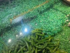 -主子吉湘·湘西土菜(平城街店)