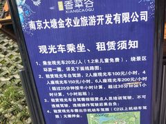 -大塘金香草谷