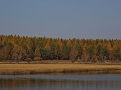 -塞罕坝国家级自然保护区