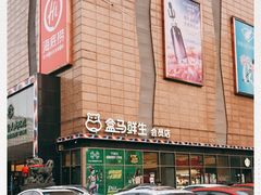 -盒马鲜生(大成店)