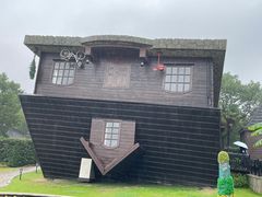 -金山农民画村-枫泾波兰倒置屋