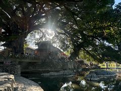 -云水谣景区