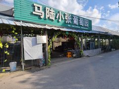 -马陆小张葡萄园农家乐