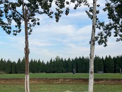 -汉长安城未央宫国家考古遗址公园