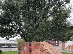 -新疆那拉提国家旅游度假区