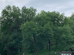 -元大都城垣遗址公园