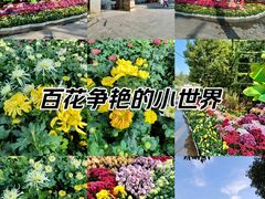 -翠湖公园